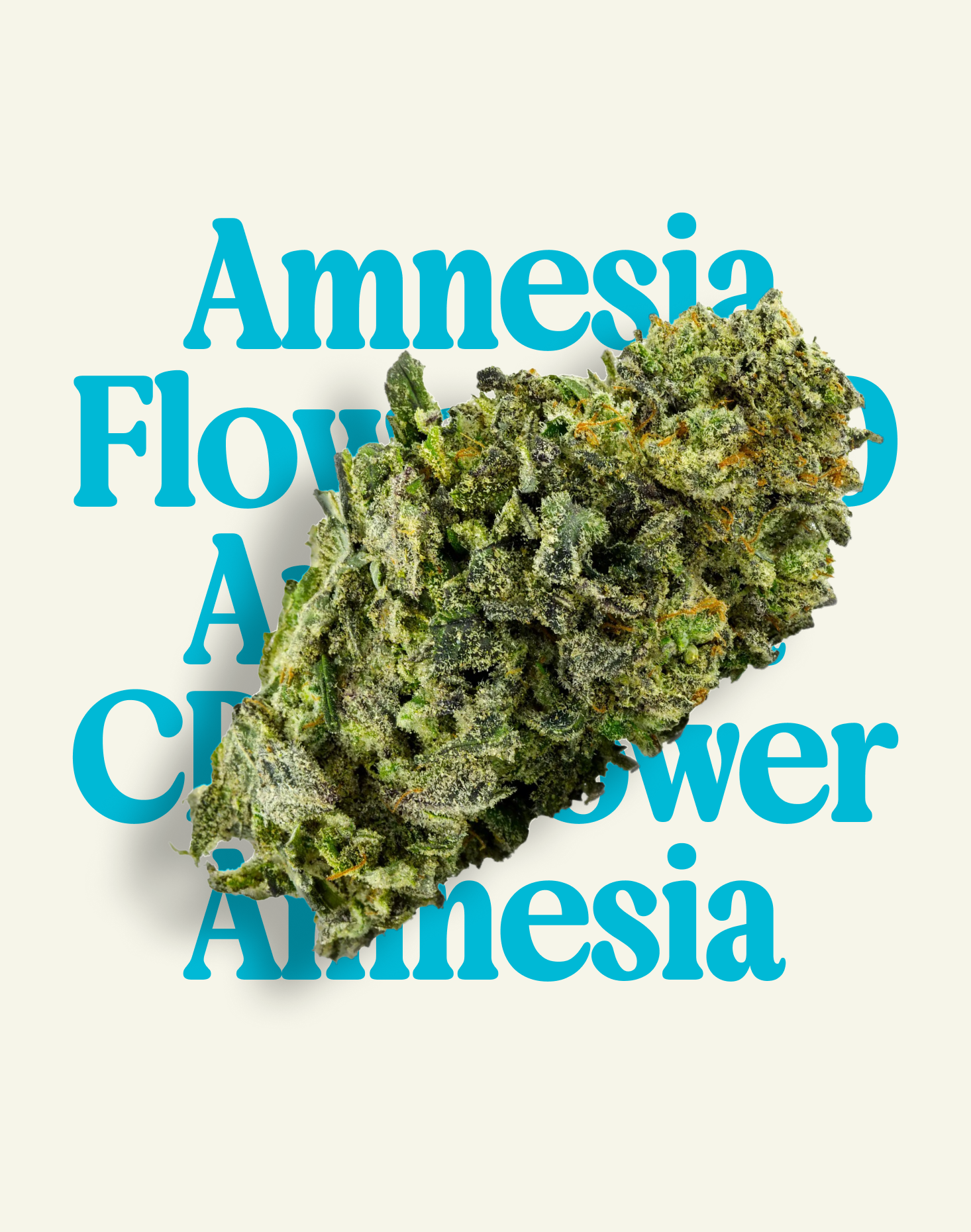 AMNESIA