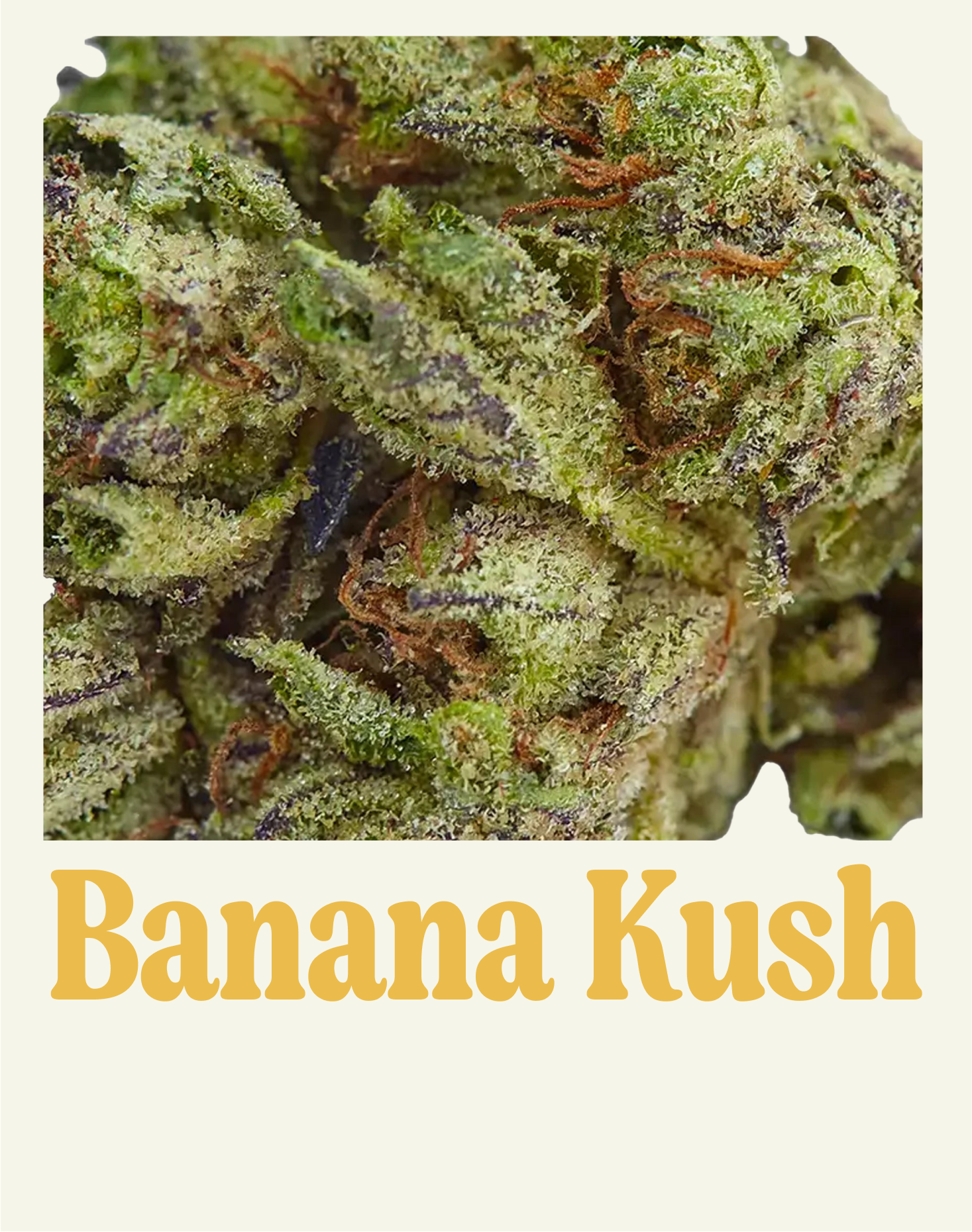 BANANA KUSH