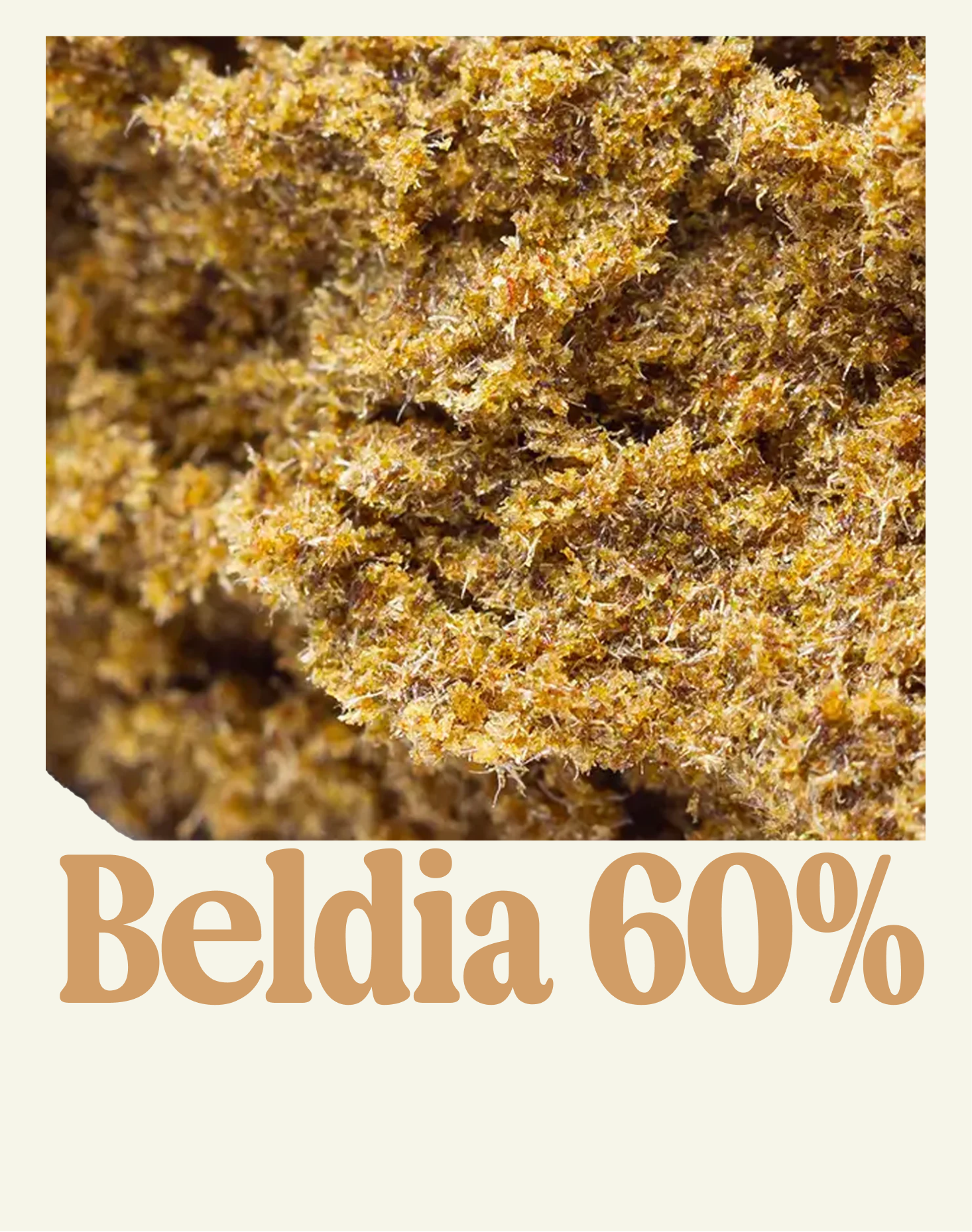 BELDIA 60%