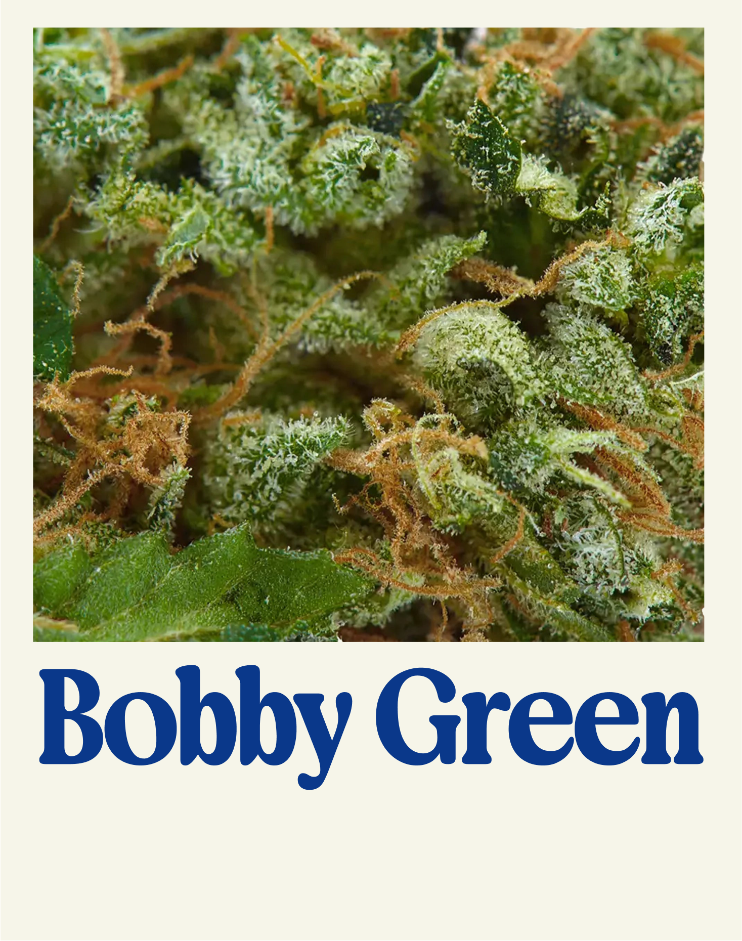 BOBBY GREEN