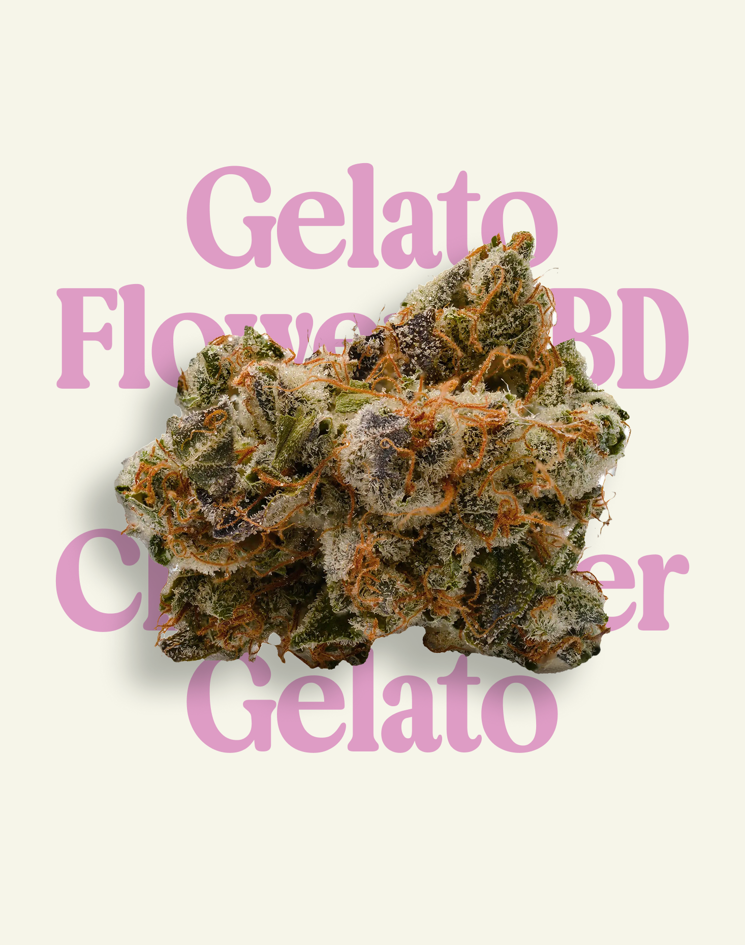 GELATO