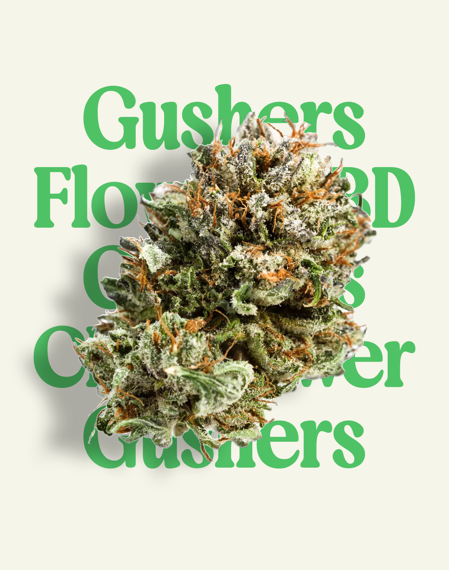 GUSHERS SUNSET
