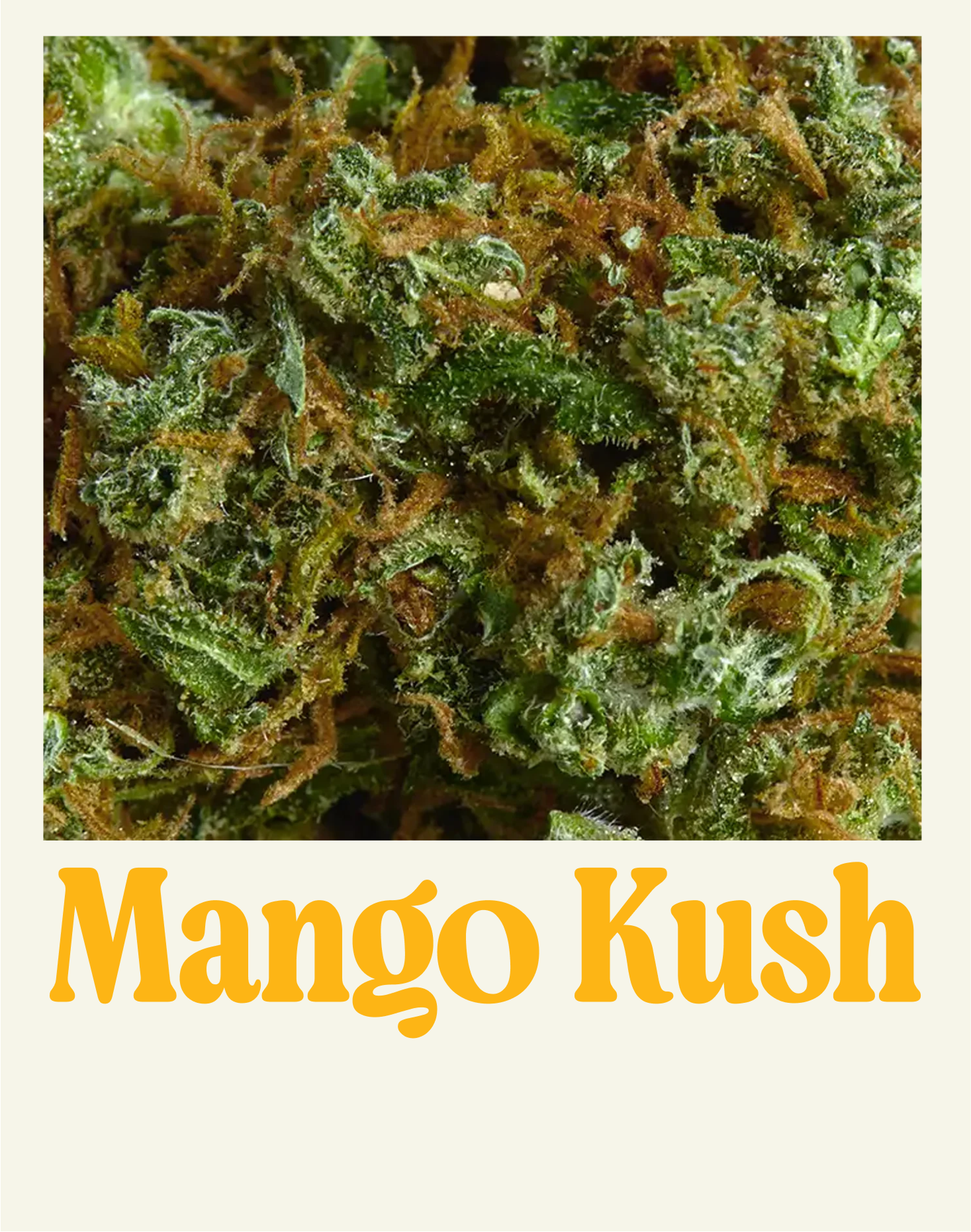 MANGO KUSH