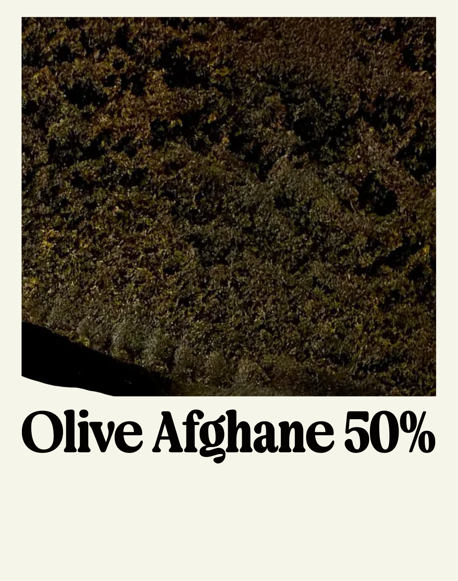 OLIVE AFGHANE 50%
