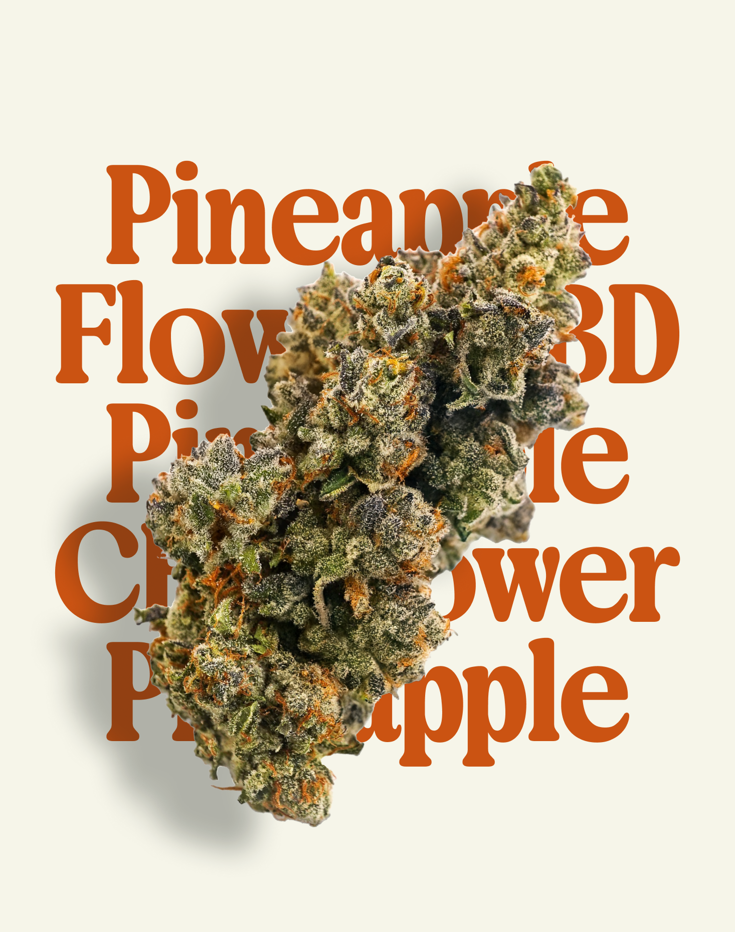 PINEAPPLE