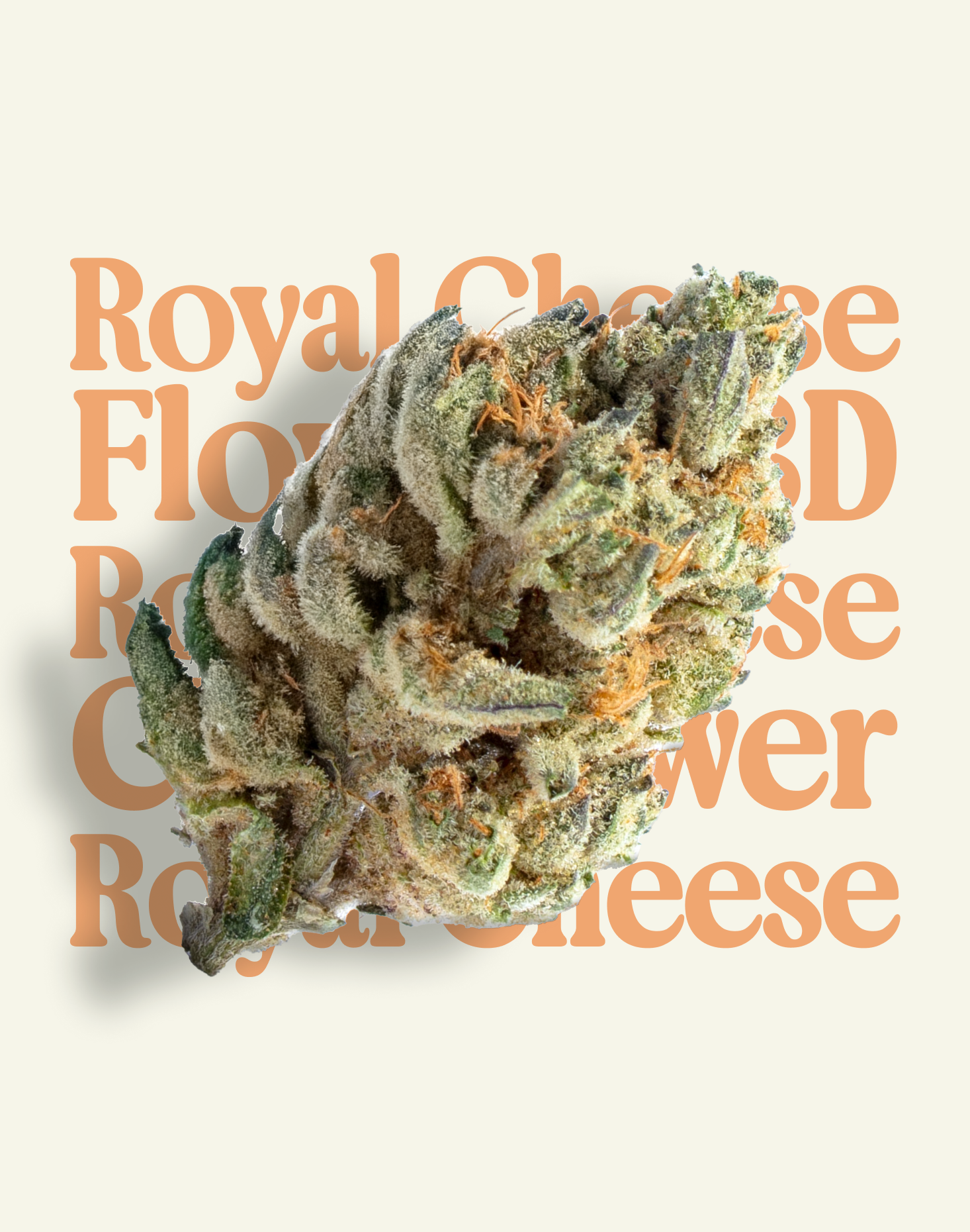 ROYAL CHEESE