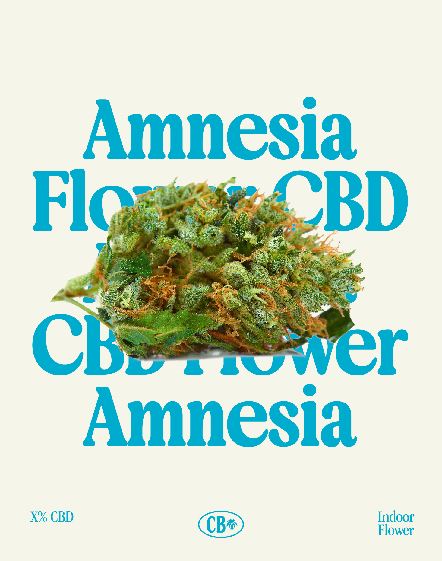 Amnesia