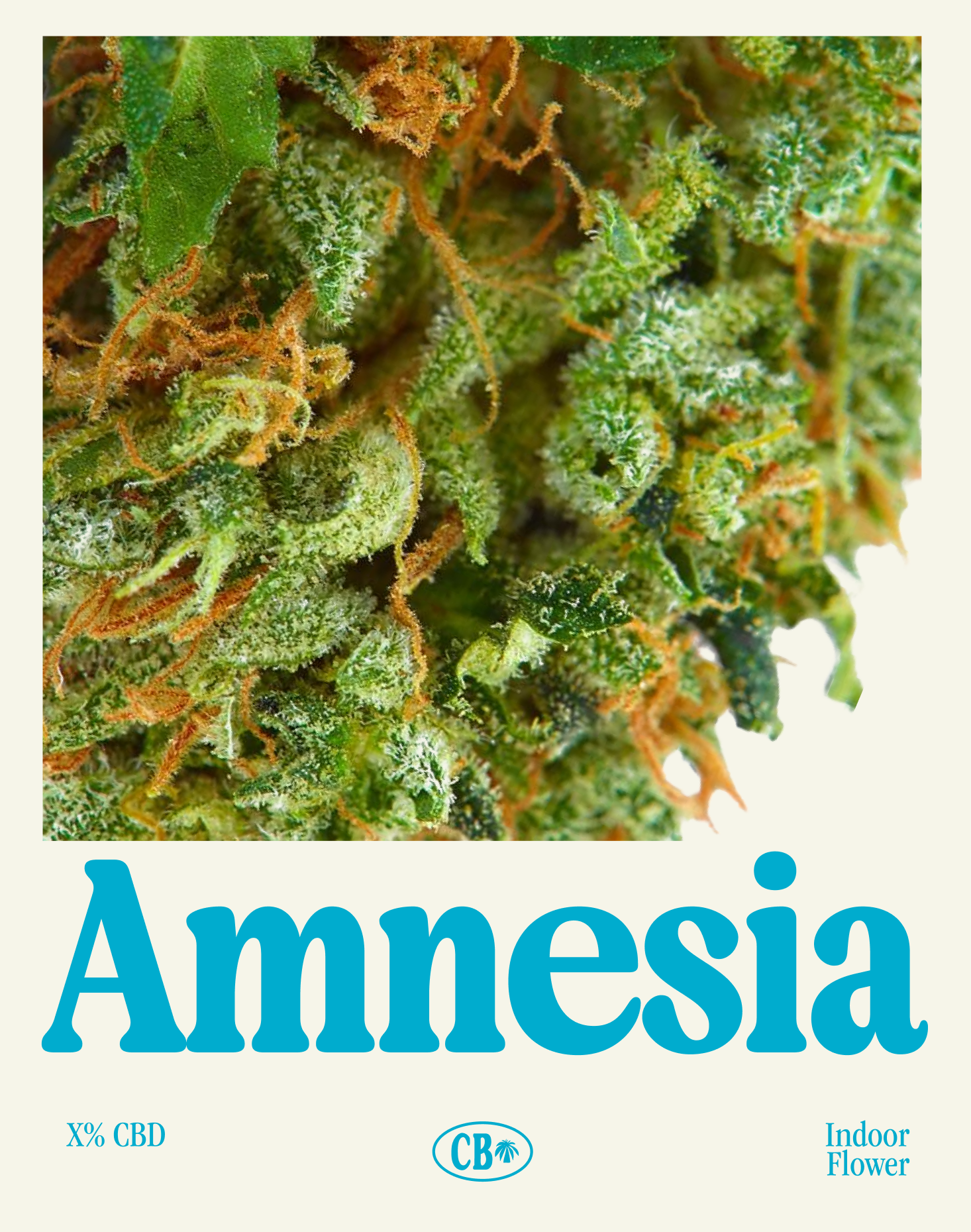 Amnesia