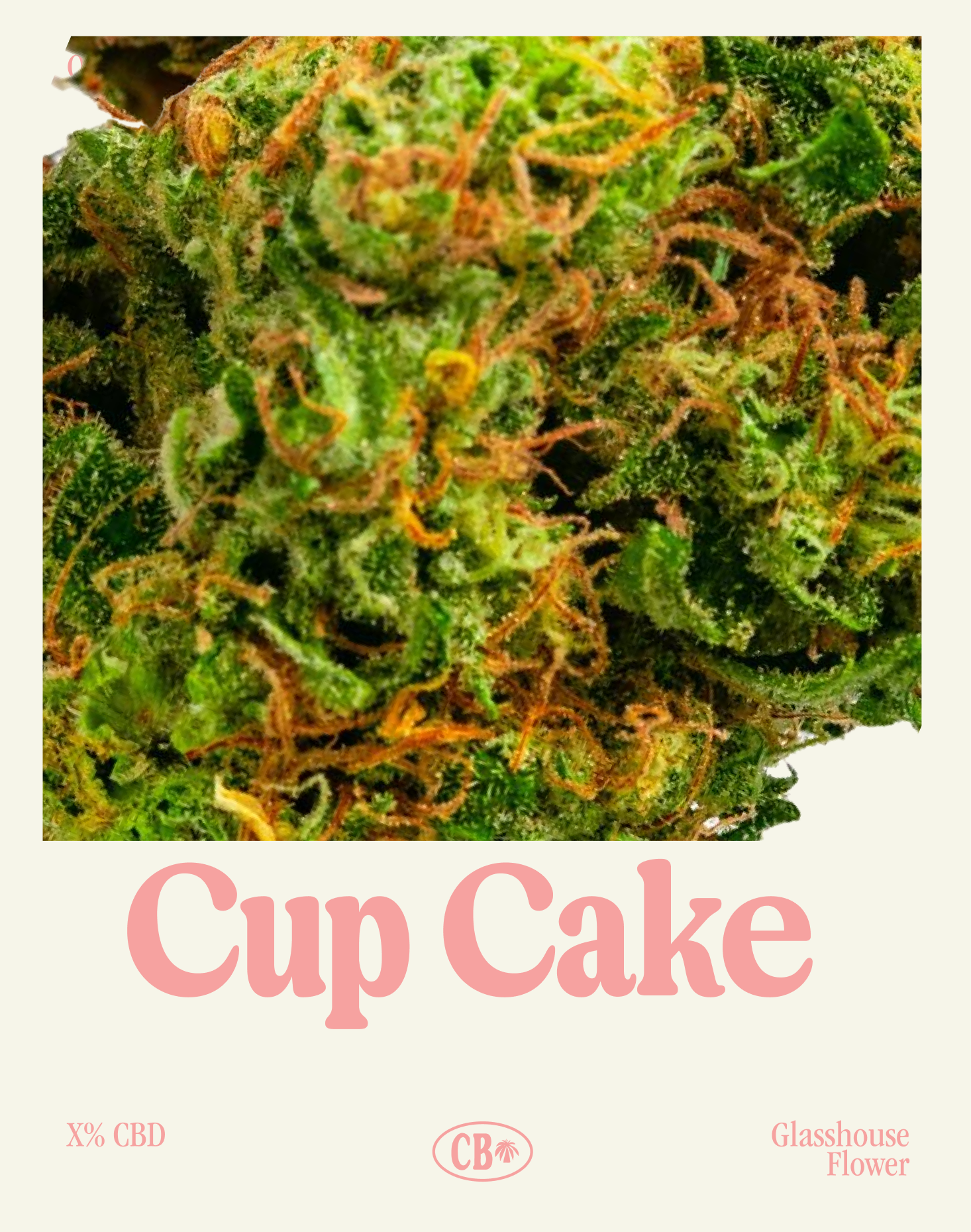 Cup Cake