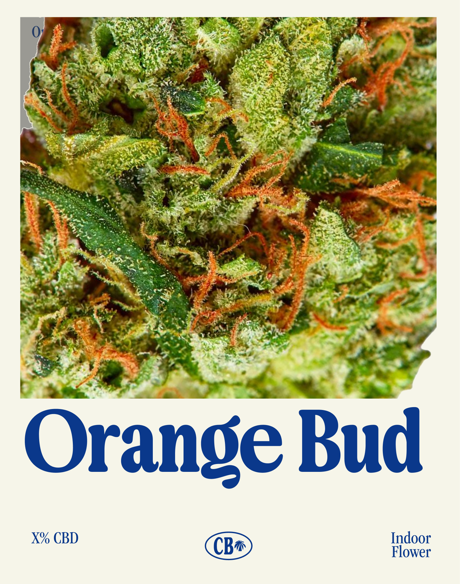 Orange Bud