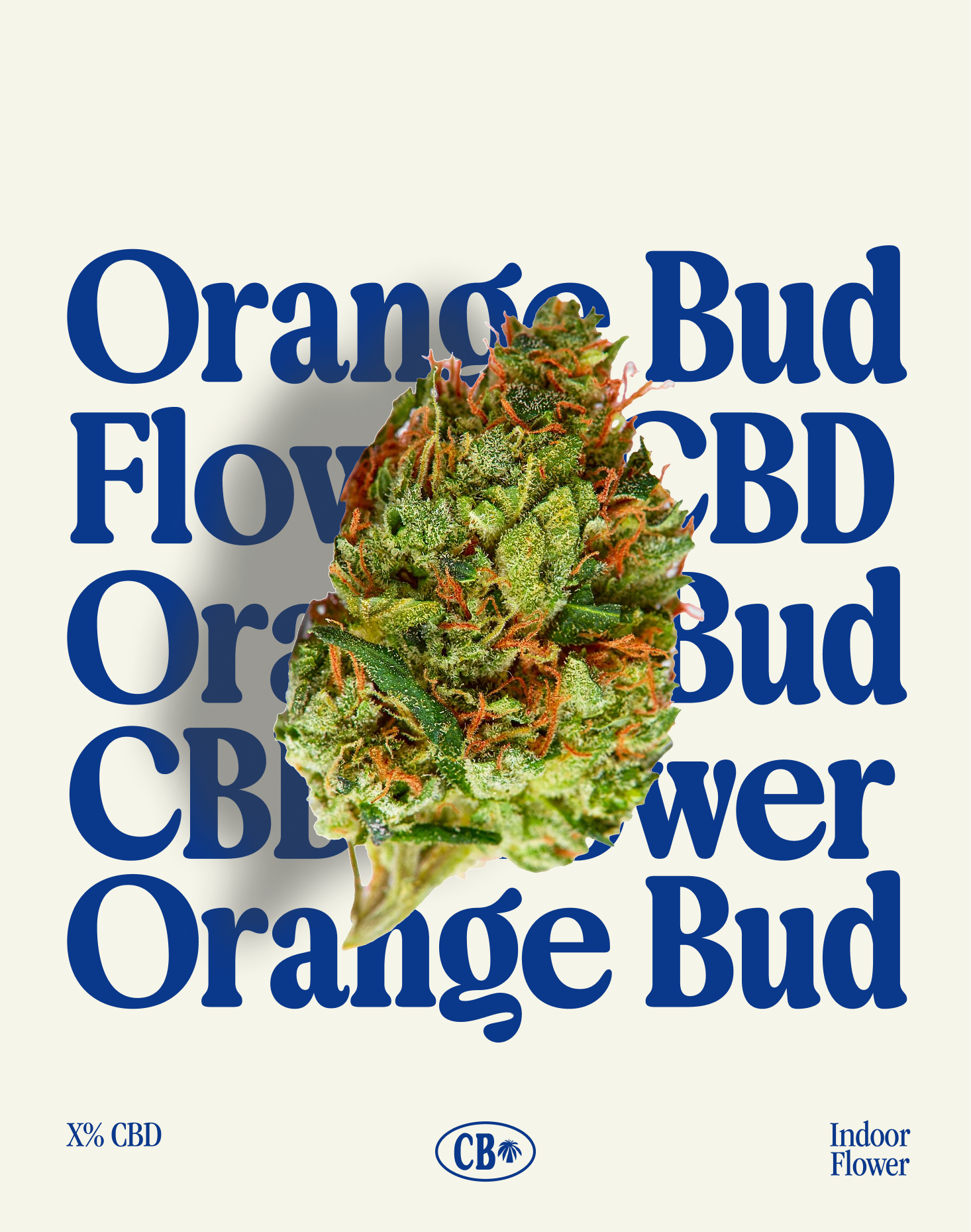 Orange Bud
