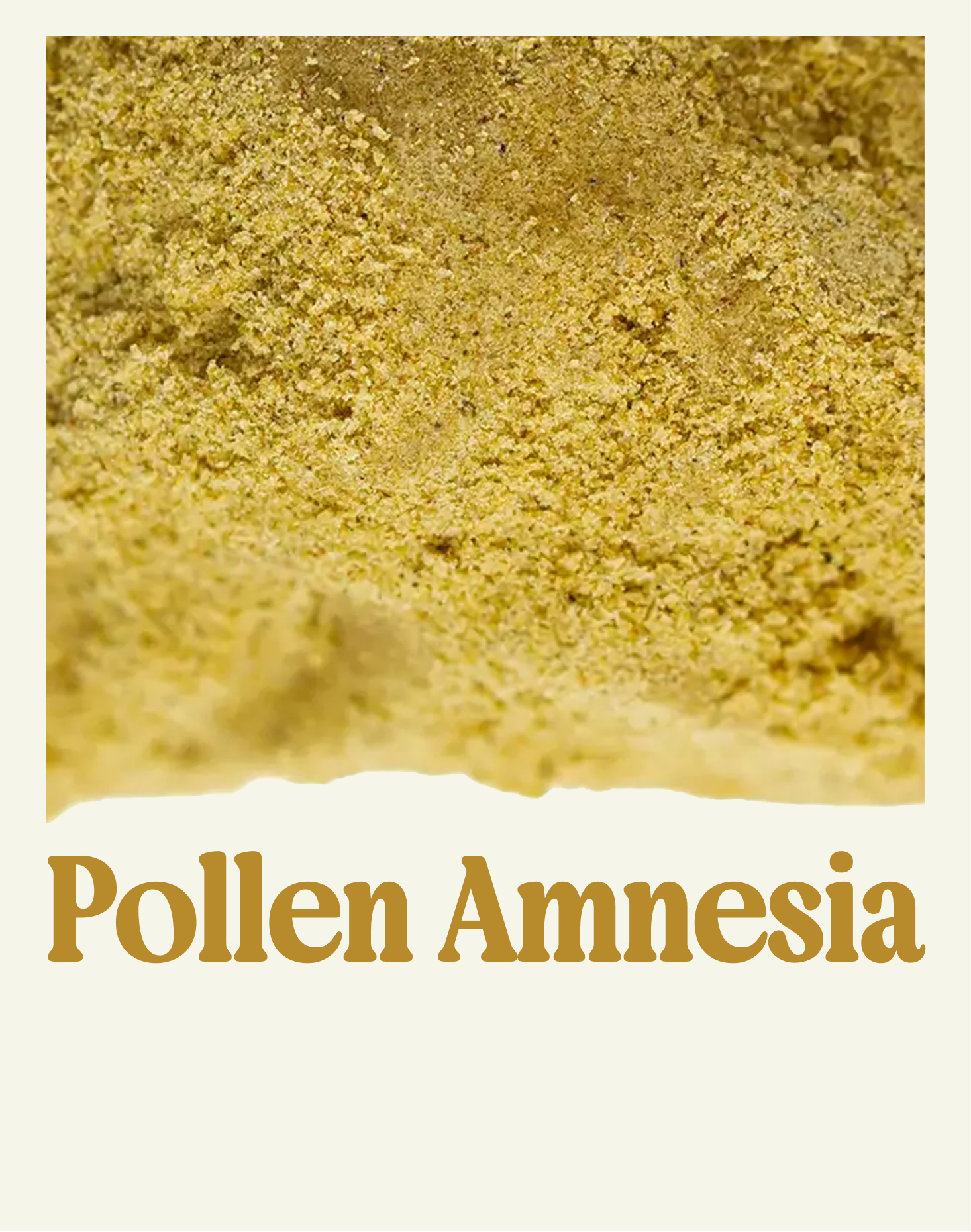 POLLEN AMNESIA PREMIUM