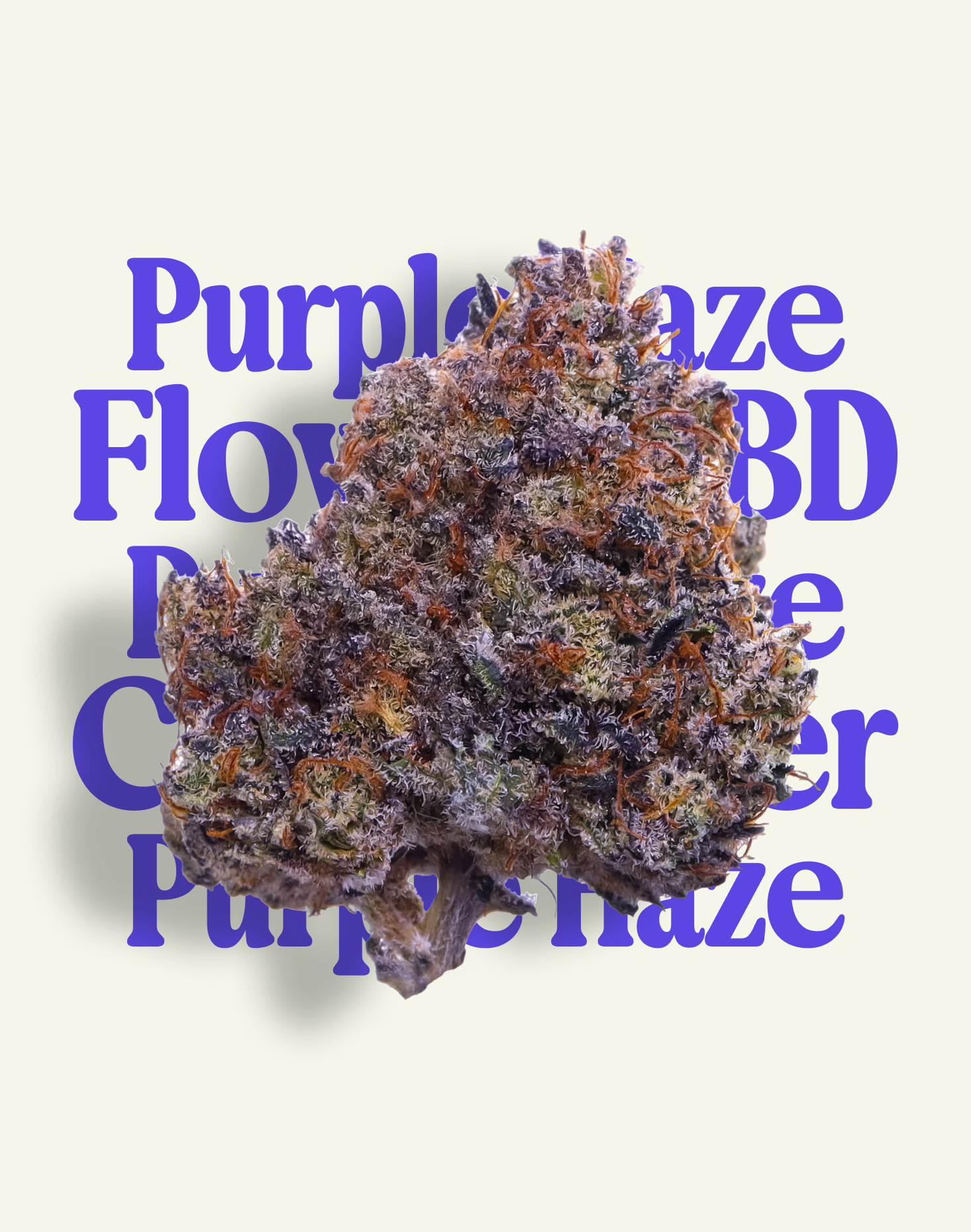 PURPLE HAZE